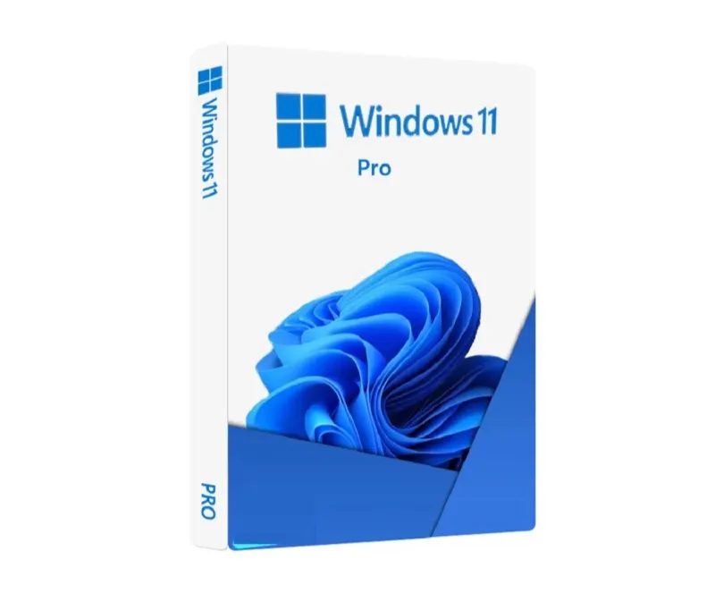 Microsoft Windows 11 Professional 64 bits